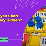 What is the Timing for the Kalyan chart (12)